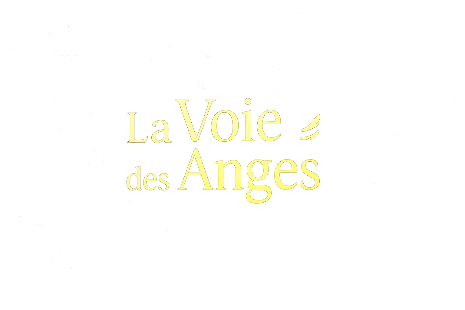 Logo La Voie des Anges